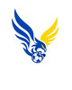 Logo Sarcelles Aa