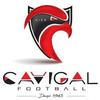 Logo Nice Cavigal