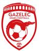 Logo Nimes Gazelec
