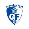 Logo Grenoble