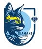Logo Diamant Futsal