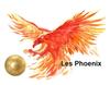 Logo Phoenix Football School