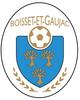 Logo Boisset Et Gaujac Fc