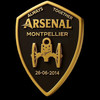 Logo Arsenal Croix Argent