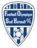 Logo Sud Herault Fo