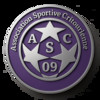 Logo A. S. Critourienne