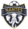 Logo Nantes Metropole F.