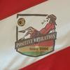 Logo Positive Vibration