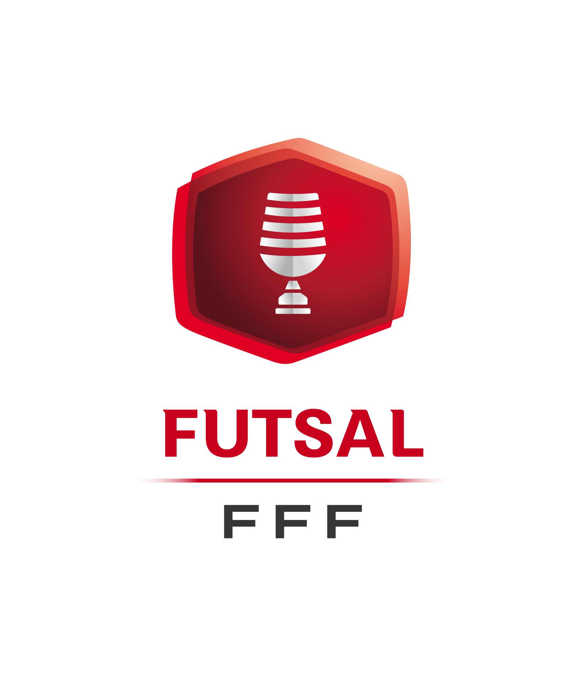 Logo Coupe Nationale Futsal