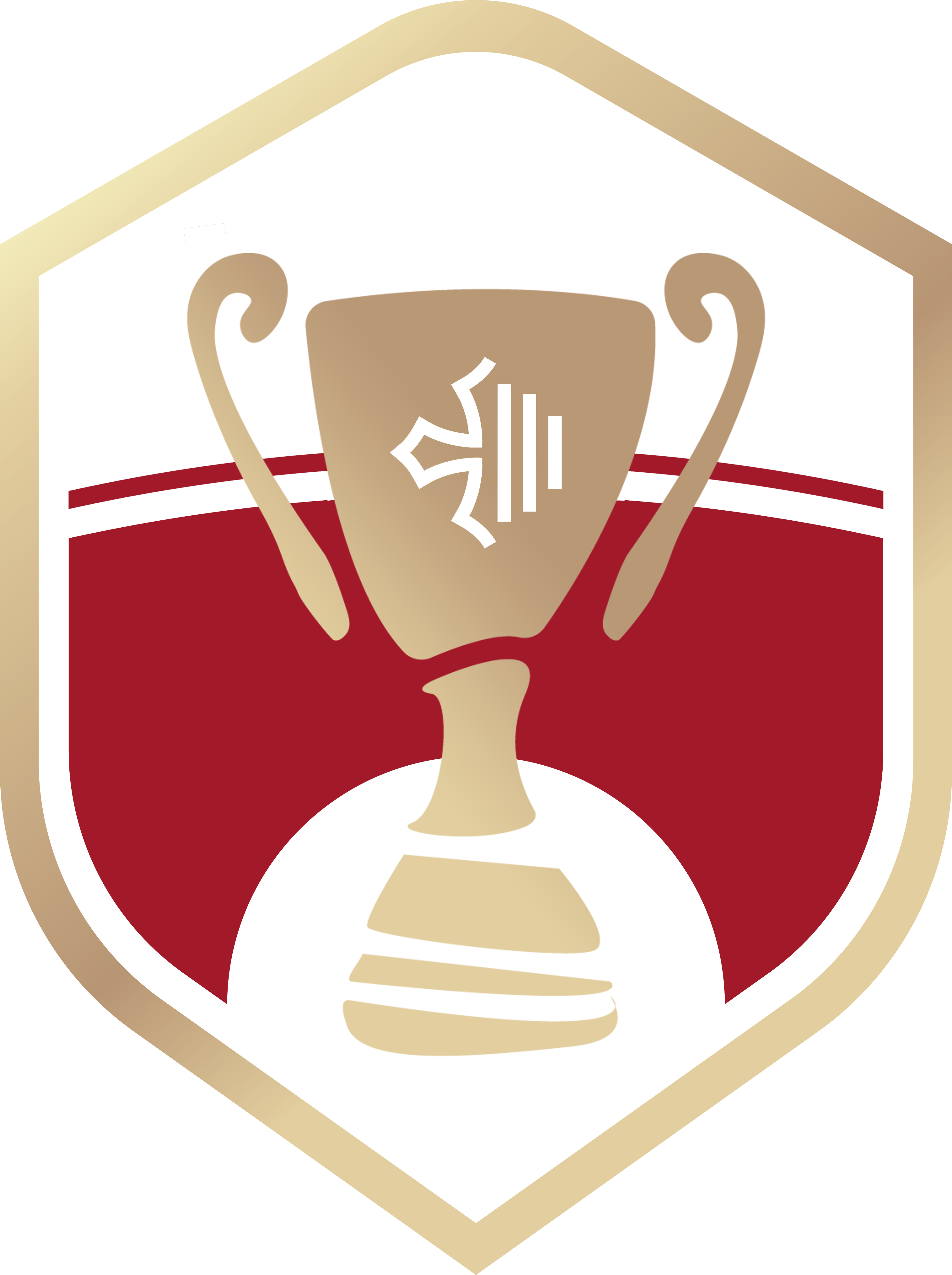 Logo Coupe Occitanie Feminines